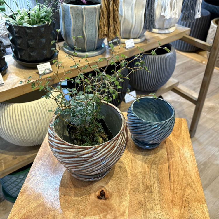 植木鉢 おしゃれ 陶器鉢 アスロープポット Y...の紹介画像3