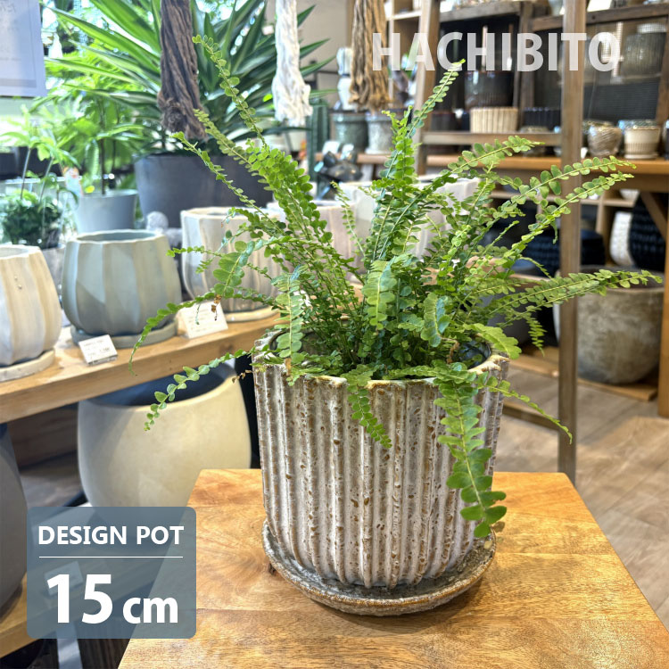 植木鉢 おしゃれ 陶器鉢 スプロケットポット YD022-150 5号(15cm) 鉢底穴有り 受け皿付き モダン 和テイスト 丸型 アイボリー ネイビー ブラウン