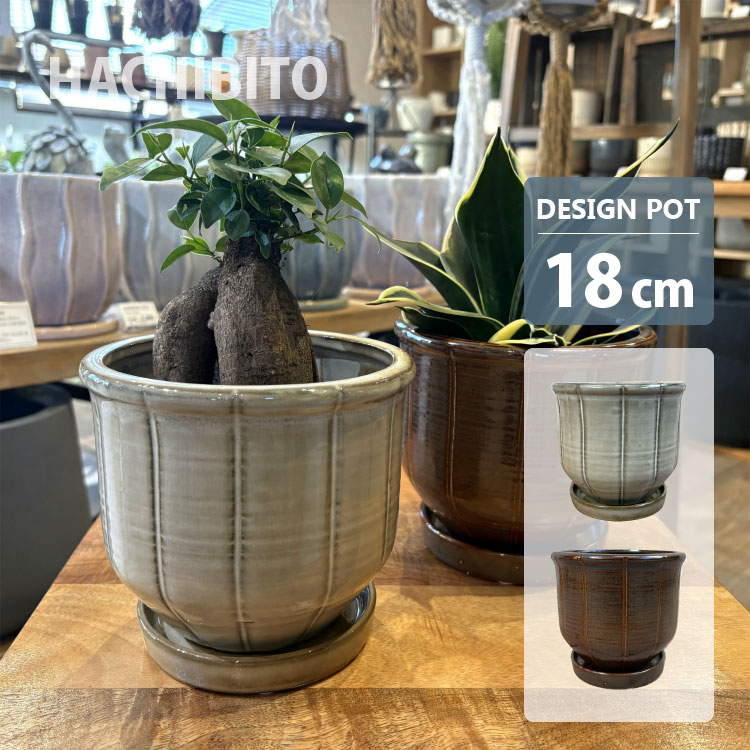楽天市場】陶器鉢 6号の通販