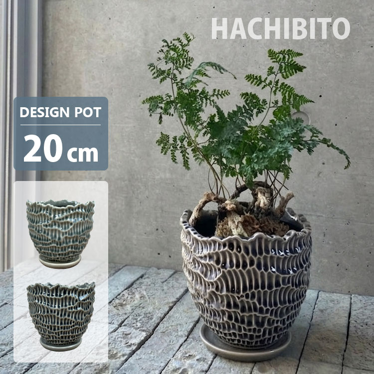 楽天市場】植木鉢 6．5号の通販