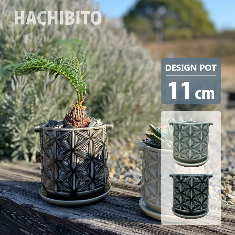 いちじく　無花果　盆栽　５号陶器鉢つき　曲がり❗タコ足❗ いちじく 無花果 盆栽 5号陶器鉢つき 曲がり❗タコ足❗ 【公式通販】
