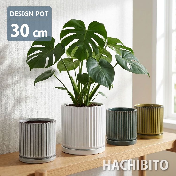 楽天市場】植木鉢 大型（カラーイエロー）（ガーデニング・農業｜花
