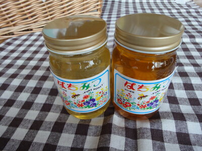 国産完熟はちみつセット　特選あかしあ　内容量300g×2個のサムネイル