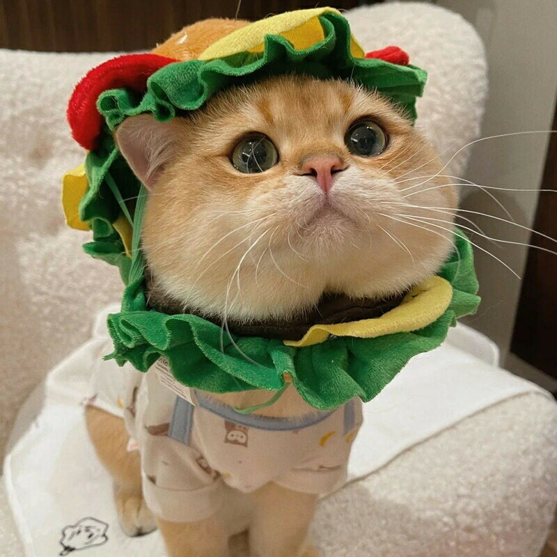 ハンバーガー ネコ 被り物 ハロウィン ペット 帽子 コスプレ 衣装 仮装 コスチュー...
