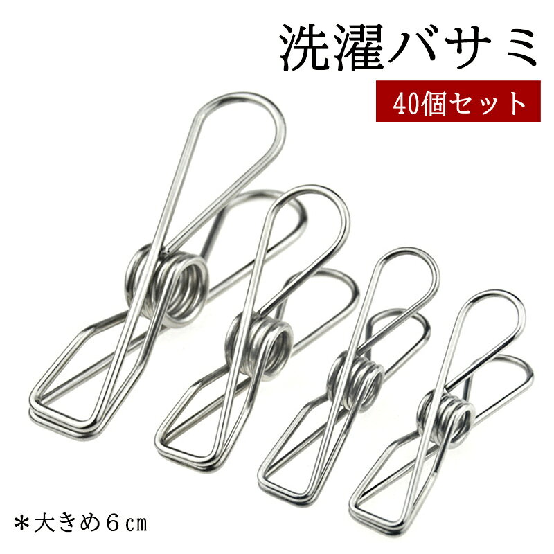 洗濯バサミ ステンレス製 40個セット おしゃれ シンプル 6cm ピンチ クリップ 洗濯ばさみ バスタオル 収納用品 物干し ズボン 洗濯グッズ 洗濯 スカート タオル かわいい 室内干し DIY 便利 洗濯用品 洗濯干し 頑丈 丈夫 金属