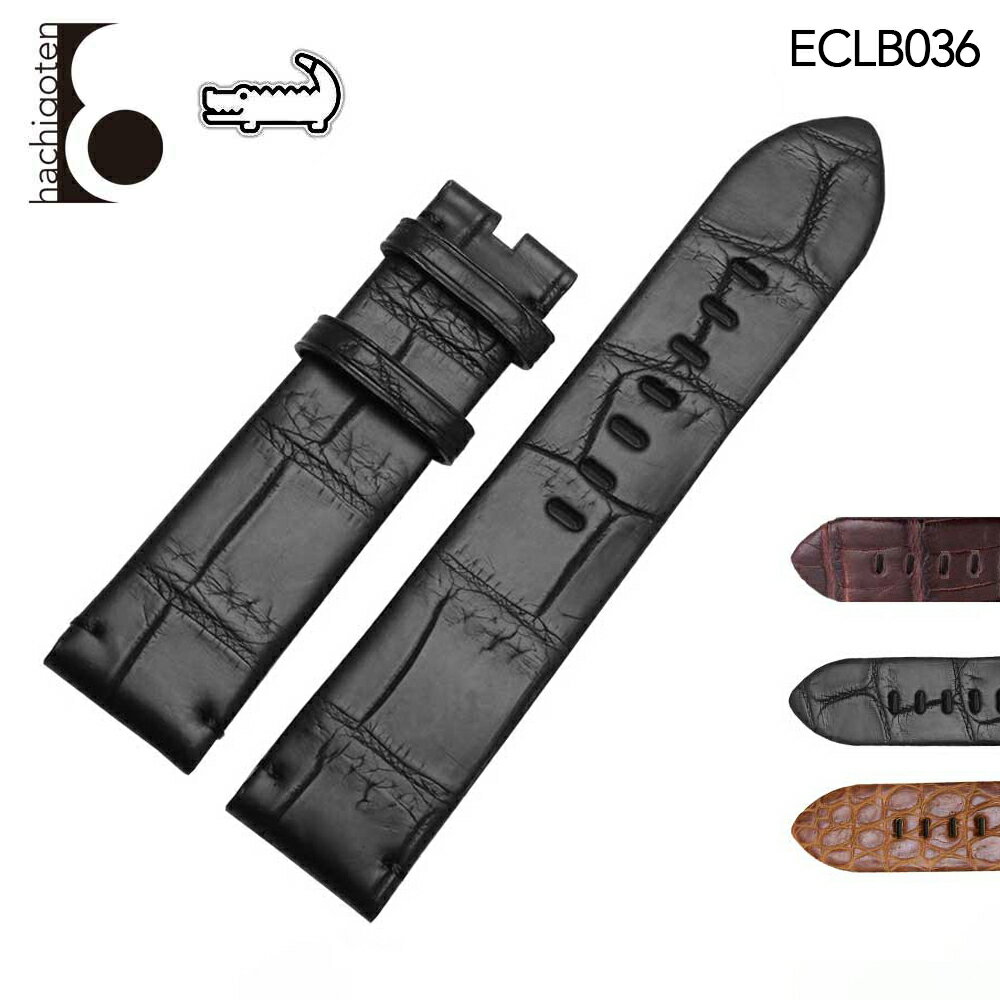 eclb036.jpg eclb036.jpg