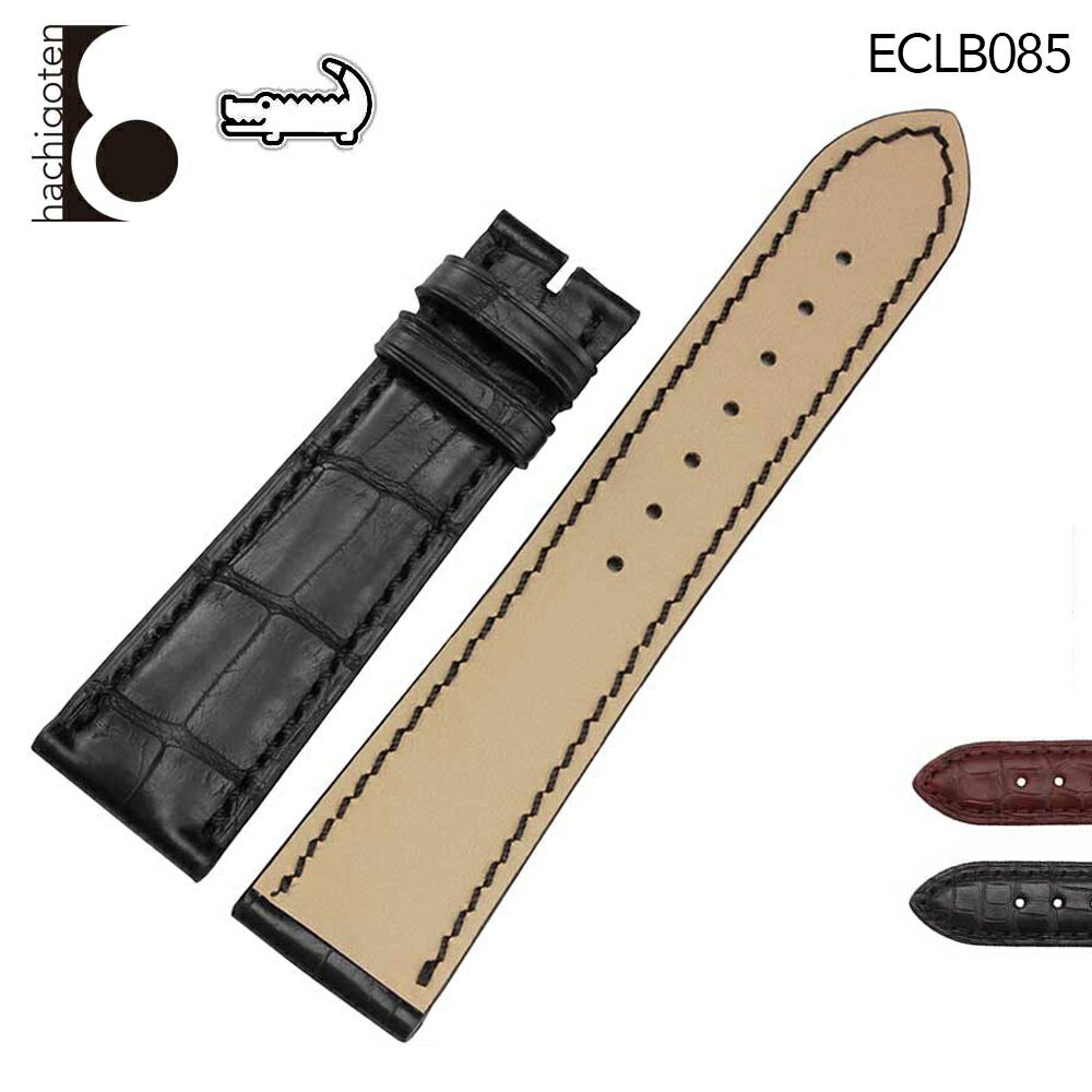 eclb085.jpg eclb085.jpg