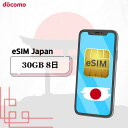 [[i@eSIM {  vyChSIM 30GB/8 vyChSIMJ[h f[^ʐMp NTThRidocomo j