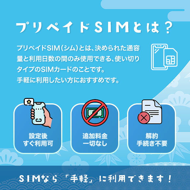 【チャージ可能】プリペイドSIMカード50GB 180日 国内データ通信専用 NTTドコモ回...