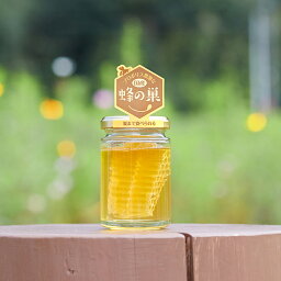 巣蜜入り蜂蜜 はちみつ 国産蜂蜜 巣蜜 コムハニー 140g 食品 健康 ギフト 贈り物 ご贈答 お返し おすすめ