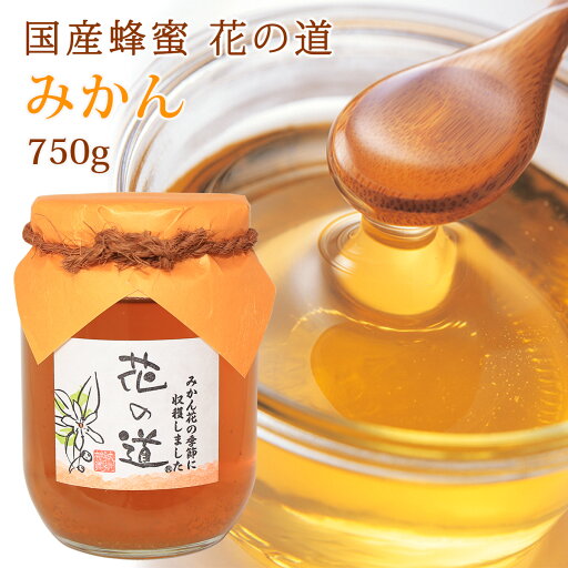 国産蜂蜜 花の道 みかん 750g 国産 はちみつ 国産蜂蜜 花の道 みかん 750g 国産 はちみつ