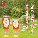 国産純粋蜂蜜 花の道 野山みつ 280g 500g ハニーボトル 非加熱 無添加 天然 生はちみつ