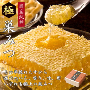 ハチの巣を丸ごと食べる！ちょっと高級な巣蜜のおすすめは？