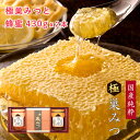 【2025年新蜜】国産純粋極巣みつと花の道蜂蜜430g×2本 ギフト