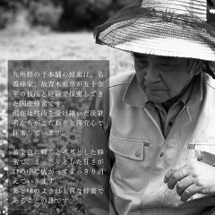 巣箱
