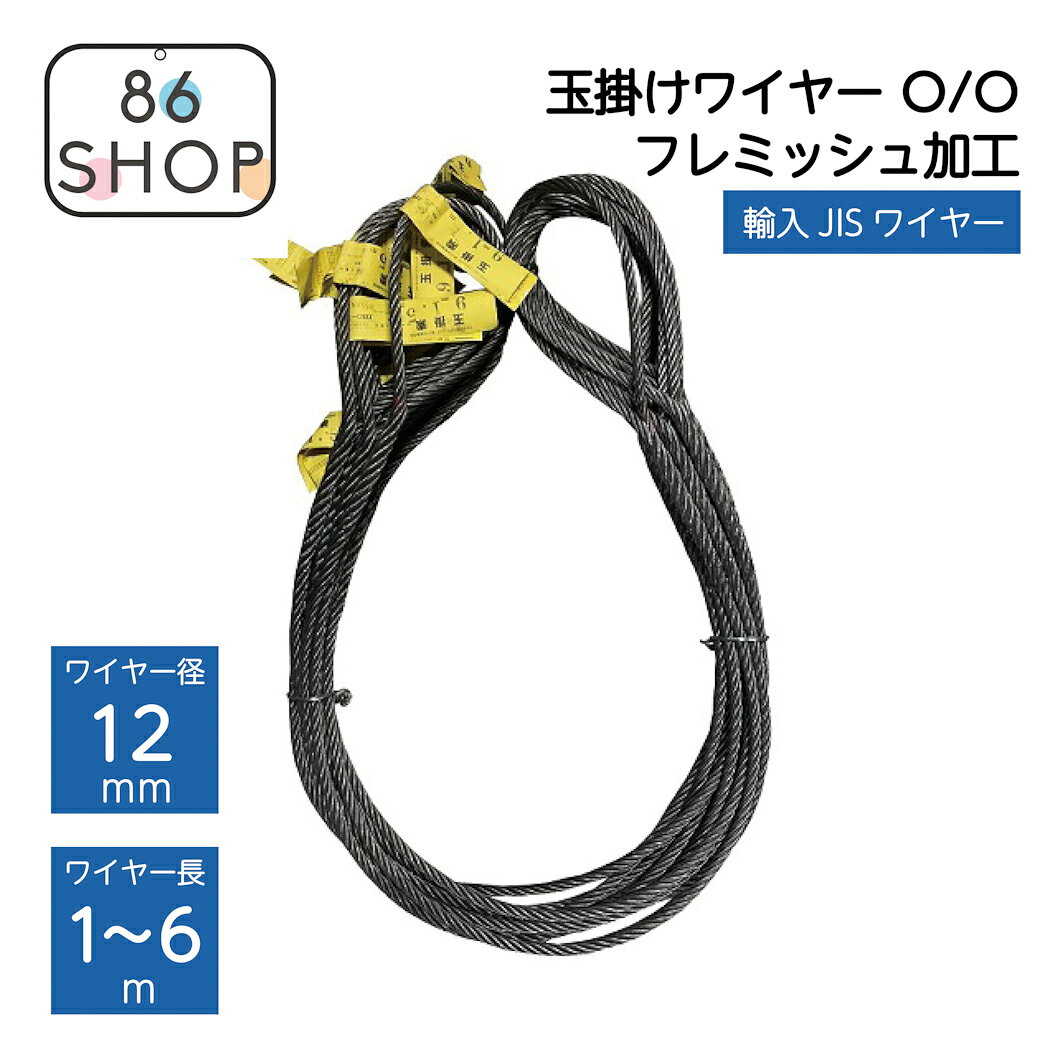 楽天市場】ワイヤーロープ 12mm 4mの通販
