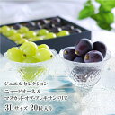お中元 ニューピオーネ&マスカット・オブ・アレキサンドリア ジュエルセレクション 3Lサイズ 20粒 岡山県産 葡萄 ブドウ