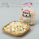 洗い 砂丘らっきょう 秀品 Sサイズ 2kg 鳥取県産 JA鳥取いなば 福部産 らっきょ 作り方 レシピ付き