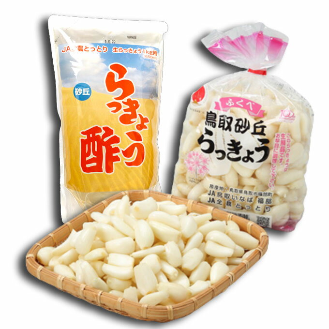 鳥取県福部で栽培される砂丘らっきょうは、GI(地理的表示)に登録され、保護されているブランドらっきょうです。砂丘らっきょうは、夏場は地表面温度60度、冬場は氷点下という過酷な環境で育ち、色白で硬く引き締まったらっきょうに育ちます。実の引き締まった繊維の細いらっきょうは、軽快なシャキシャキ食感を楽しむことができます。 果物 フルーツ 旬 ギフト 贈り物 お礼 内祝 御供 ギフト プチギフト 特産品 お取り寄せ 人気 セット 売れ筋 名物商品 家庭用 贈答用 甘い