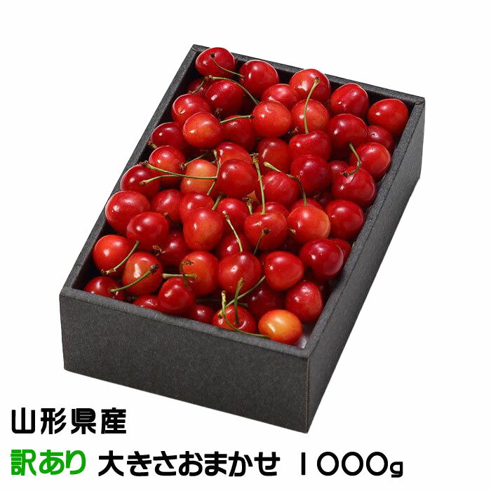 さくらんぼ 山形県産 風のいたずら ちょっと訳あり 大きさおまかせ 1000g 化粧箱 ギフト お取り寄せグルメ