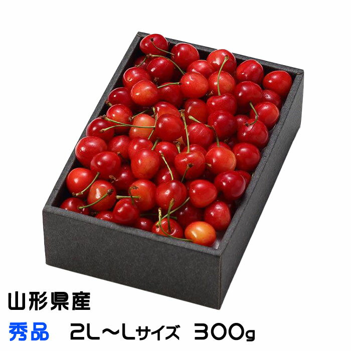 さくらんぼ 山形県産 秀品 2L～Lサイズ 300g 化粧箱