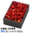 さくらんぼ 佐藤錦 秀品 2L〜Lサイズ 300g 化粧箱 さとうにしき 山形県産 ギフト お取り寄せグルメ
