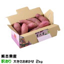 さつまいも 紅はるか 訳あり 大きさおまかせ 2kg 熊本県 大津産 JA菊池 べにはるか 蜜芋 ギフト お取り寄せ