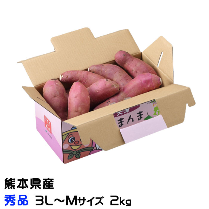さつまいも 紅はるか 秀品 3L〜Mサイズ 2kg 熊本県 大津産 JA菊池 べにはるか 蜜芋 ギフト お取り寄せ ■