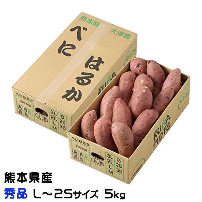 さつまいも 紅はるか 秀品 L〜2Sサイズ 5kg 熊本県 大津産 JA菊池 べにはるか 蜜芋 ギフト お取り寄せ ■