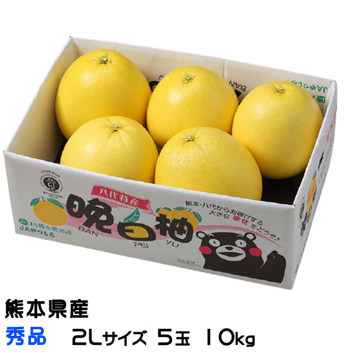 みかん 晩白柚 ばんぺいゆ 秀品 2Lサイズ 5玉 10kg 熊本県産 JAやつしろ ミカン 蜜柑 ギフト お取り寄せのサムネイル