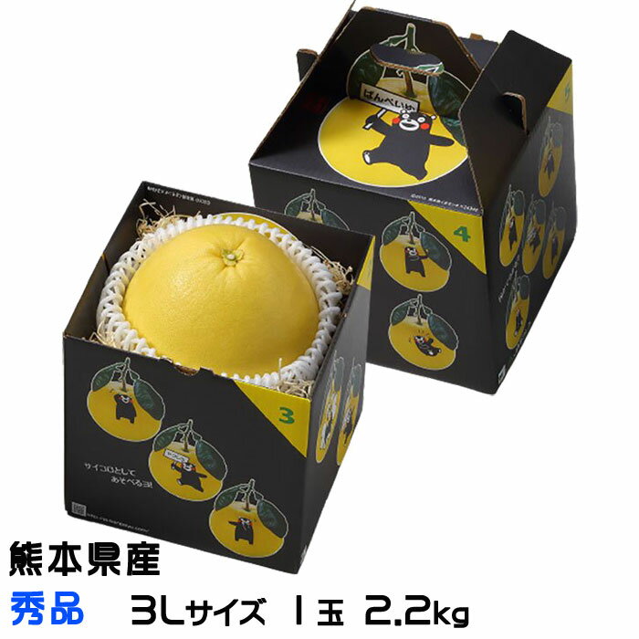 お歳暮 みかん 晩白柚 ばんぺいゆ 秀品 3Lサイズ 1玉 2.2kg 熊本県産 JAやつしろ 化粧箱入り ギフト 柑橘 蜜柑 ギフト お取り寄せ