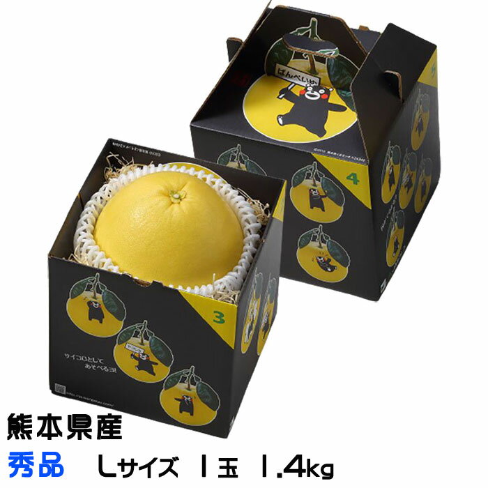 お歳暮 みかん 晩白柚 ばんぺいゆ 秀品 Lサイズ 1玉 1.4kg 熊本県産 化粧箱入り ギフト 柑橘 蜜柑 お取り寄せグルメ