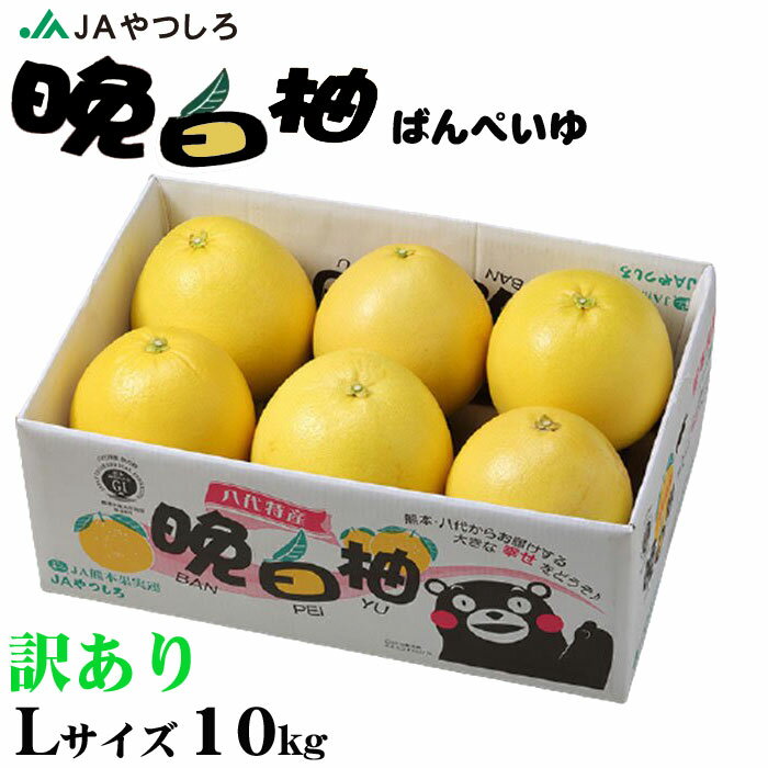 お歳暮 みかん 晩白柚 ばんぺいゆ 訳あり Lサイズ 6玉 10kg 熊本県産 JAやつしろ ミカン 蜜柑 ギフト お取り寄せ