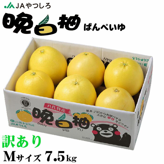 お歳暮 みかん 晩白柚 ばんぺいゆ 訳あり Mサイズ 6玉 7.5kg 熊本県産 JAやつしろ ミカン 蜜柑 ギフト お取り寄せ