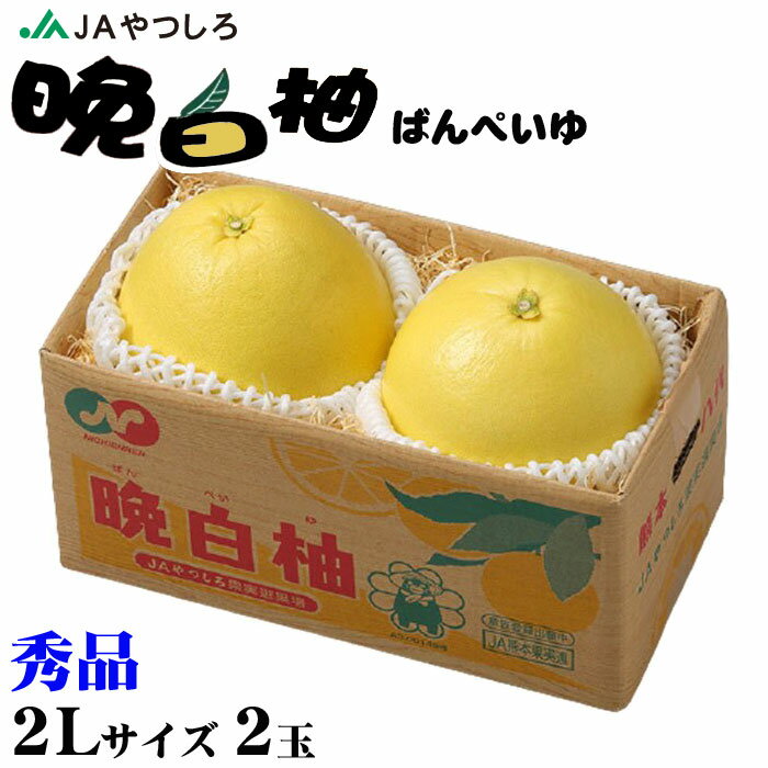 お歳暮 みかん 晩白柚 ばんぺいゆ 秀品 2Lサイズ 2玉 熊本県産 JAやつしろ 化粧箱入り 柑橘　蜜柑 ギフト お取り寄せ