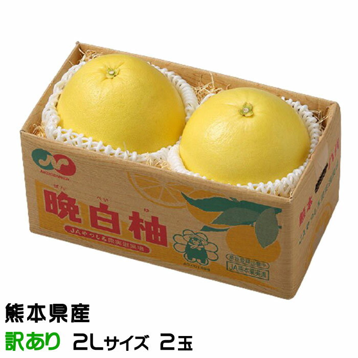 お歳暮 みかん 晩白柚 ばんぺいゆ 訳あり 2Lサイズ 2玉 熊本県産 化粧箱入り 柑橘 蜜柑 ギフト お取り寄せ