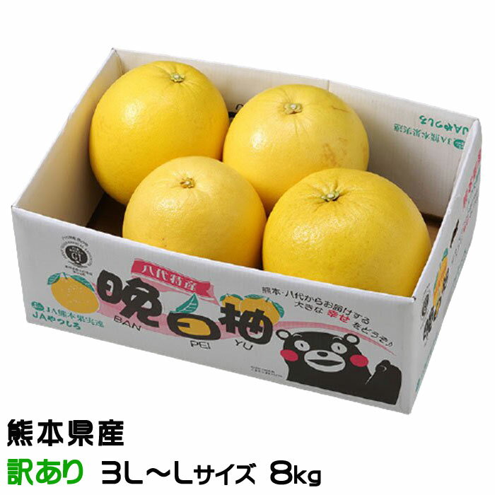 お歳暮 みかん 晩白柚 ばんぺいゆ 訳あり 3L～Lサイズ 8kg 熊本県産 JAやつしろ ミカン 蜜柑 ギフト お取り寄せ