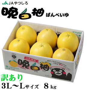 お歳暮 みかん 晩白柚 ばんぺいゆ 訳あり 3L～Lサイズ 8kg 熊本県産 JAやつしろ ミカン 蜜柑 ギフト お取り寄せ