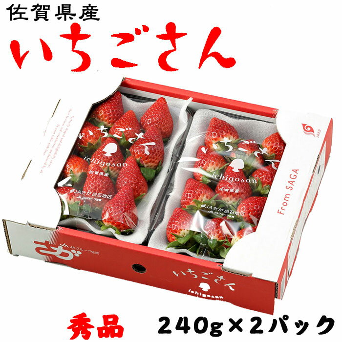 いちご いちごさん 秀品 大粒 4L～3Lサイズ 240g×2パック 佐賀県産 JA佐賀 白石地区 苺 イチゴ ギフト お取り寄せ