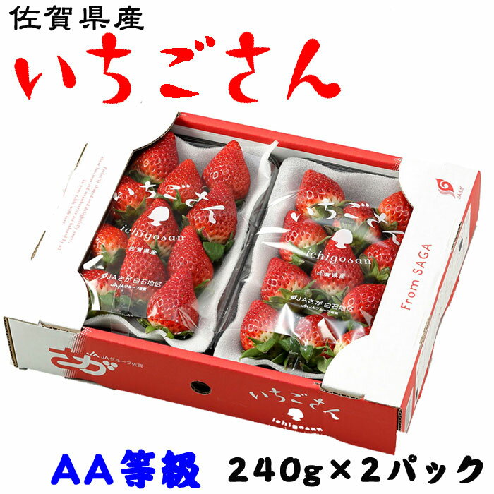 いちご いちごさん AA等級 4～11粒 240g×2パック 佐賀県産 JA佐賀 白石地区 苺 イチゴ ギフト お取り寄せ