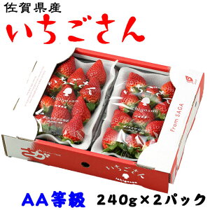 いちごさん AA等級 4〜11粒 240g×2パック 佐賀県産 JA佐賀 白石地区 苺 イチゴ ギフト お取り寄せ