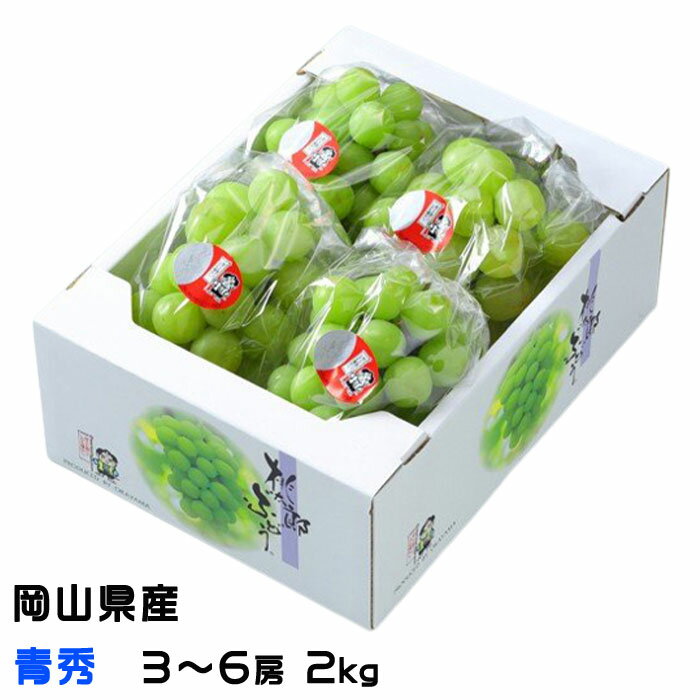 メーカー直売 - 人気ランキング 楽天市場】ぶどう 桃太郎の通販 その他