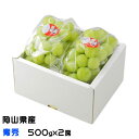 ぶどう 桃太郎ぶどう 青秀 500g×2房 岡山県産 香川県産 葡萄 ブドウ