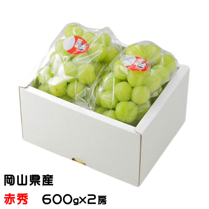 お中元 ぶどう 桃太郎ぶどう 赤秀 600g×2房 岡山県産 香川県産 葡萄 ブドウ