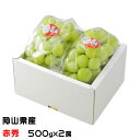 お中元 ぶどう 桃太郎ぶどう 赤秀 500g×2房 岡山県産 香川県産 葡萄 ブドウ