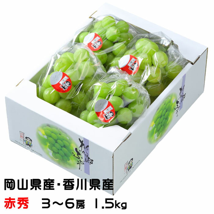お歳暮 ぶどう 桃太郎ぶどう 赤秀 3〜6房 1.5kg 岡山県産 香川県産 葡萄 ブドウ
