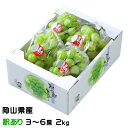 ぶどう 桃太郎ぶどう 風のいたずら ちょっと訳あり 3〜6房 2kg 岡山県産 香川県産 葡萄 ブドウ