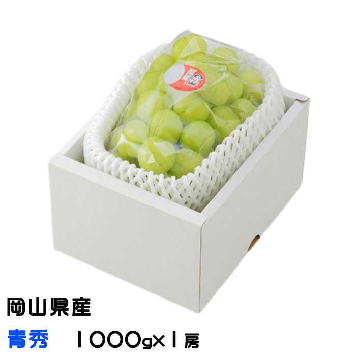 お中元 ぶどう 桃太郎ぶどう 青秀 1000g×1房 岡山県産 香川県産 葡萄 ブドウ