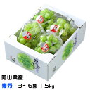 ぶどう 桃太郎ぶどう 青秀 3~6房 1.5kg 岡山県産 香川県産 葡萄 ブドウ
