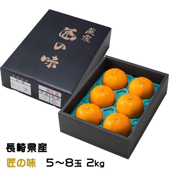 みかん せとか 長崎県産 南 マルナン 匠の味 糖度13度以上 大玉 5～8玉 2kg みかん 柑橘 ギフト 贈り物